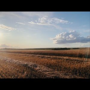 Meet your Posher, Martina